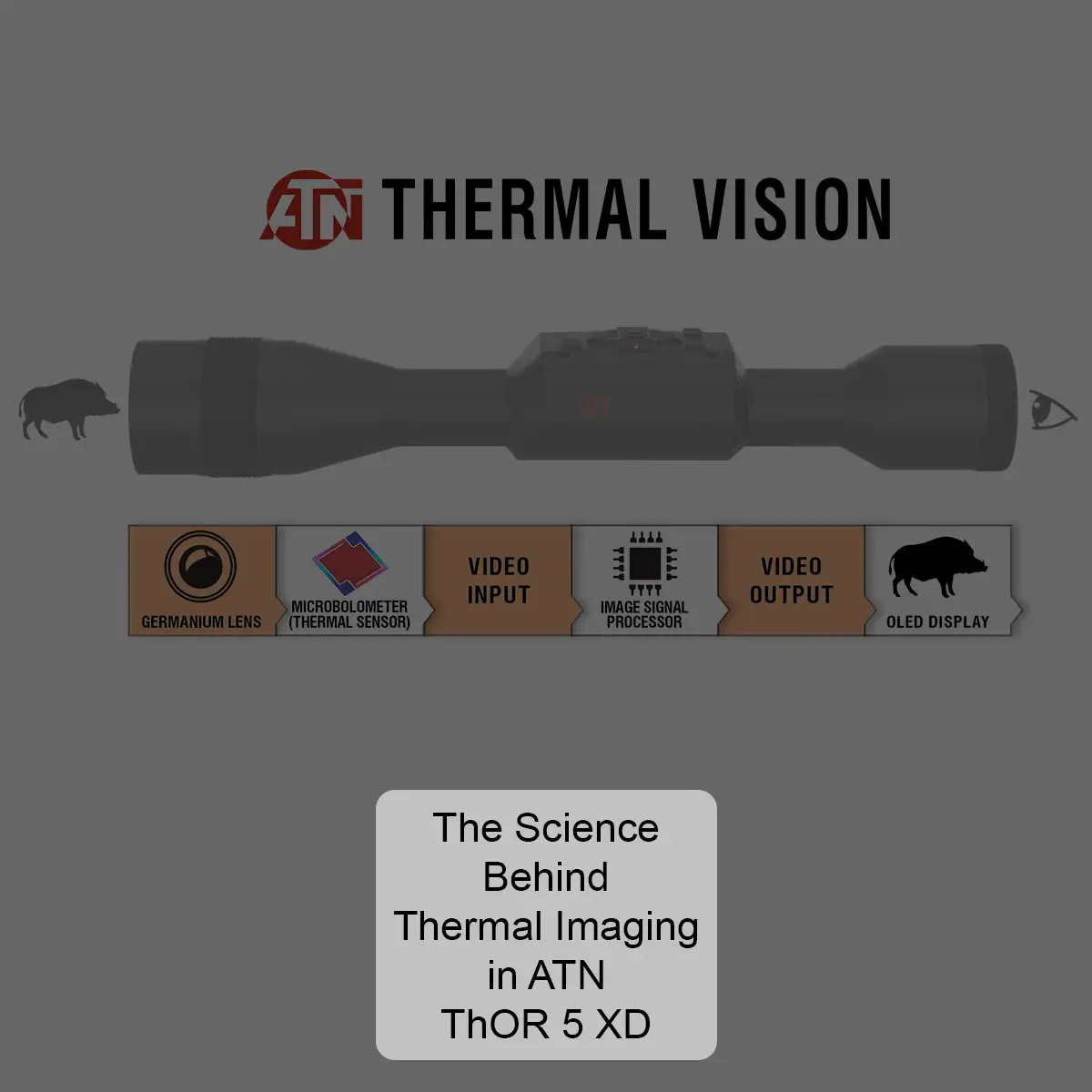 The Science Behind Thermal Imaging in ATN ThOR 5 XD